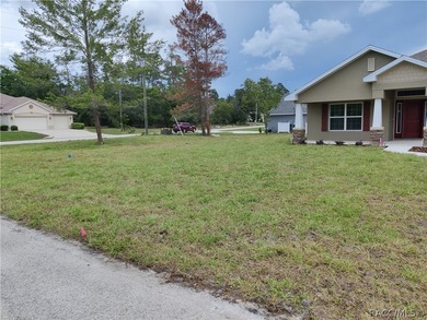 This lovely 2265 square foot home with a Craftsman elevation is - photo 4