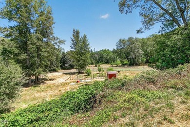 Picturesque Creekfront Farmhouse on 5.03 fully fenced acres! - photo 28