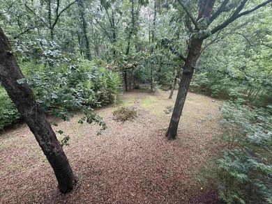Seller is offering up to $10,000 in buyer concessions with the - photo 36