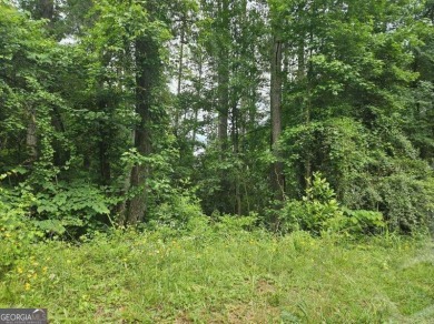 Lake Lot For Sale in Conyers, Georgia