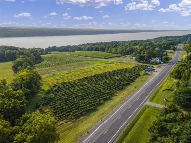 Lake Commercial For Sale in Hector, New York