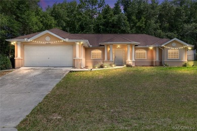 Beautiful 3-bedroom, 2-bath home in the heart of Citrus Springs - photo 1