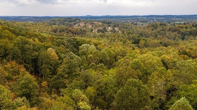 Lake Lot For Sale in Sweetwater, Tennessee