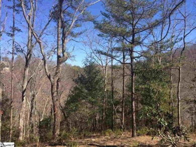 North Saluda Reservoir Acreage For Sale in Travelers Rest South Carolina