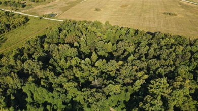 (private lake, pond, creek) Acreage For Sale in Centertown Kentucky