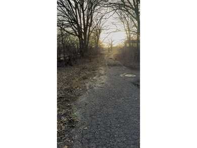 Build your dream home on this prime vacant lot located at the - photo 2