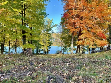 Rogers Dam Pond Lot Sale Pending in Stanwood Michigan