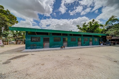 Unique Income-Producing Property - Endless Opportunities | For - photo 19