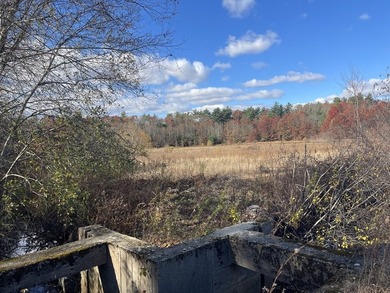 Nature Lovers and Retreat Farmers..Get Lost in the woods - photo 3