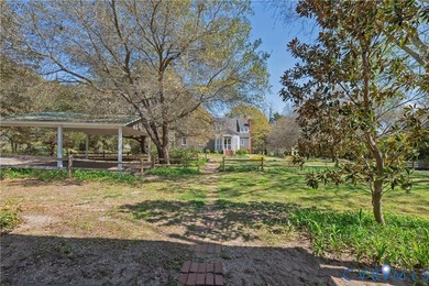 A gently meandering lane lined with mature cedars and live oaks - photo 44