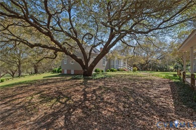 A gently meandering lane lined with mature cedars and live oaks - photo 46