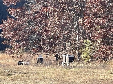 Nature Lovers and Retreat Farmers..Get Lost in the woods - photo 6