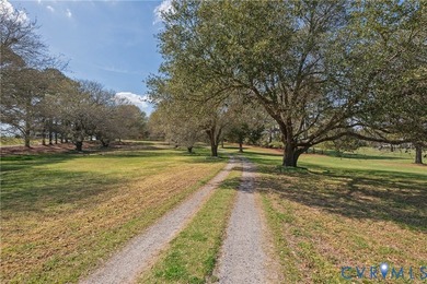 A gently meandering lane lined with mature cedars and live oaks - photo 47