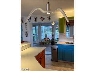 Lowest priced gulf access home on the market. Price just reduced - photo 49