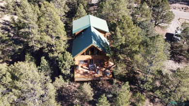 Quemado Lake Home For Sale in Quemado New Mexico