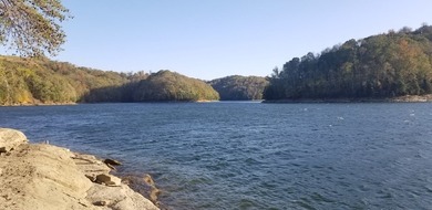 Come relax and unwind at beautiful Dale Hollow Lake! This - photo 15