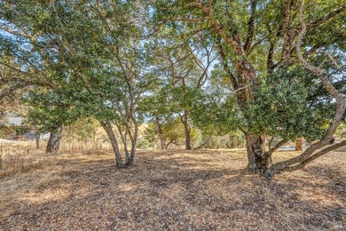 Looking for a gorgeous lake view home base in a quiet country - photo 6