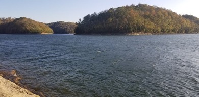 Come relax and unwind at beautiful Dale Hollow Lake! This - photo 16