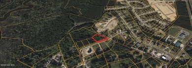 (private lake, pond, coastal) Lot Sale Pending in Leland North Carolina