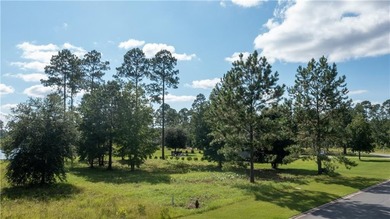 Beautiful lot on the lake at Lakeside at Longwood, a quiet - photo 2