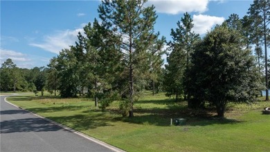 Beautiful lot on the lake at Lakeside at Longwood, a quiet - photo 5