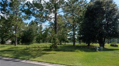 Beautiful lot on the lake at Lakeside at Longwood, a quiet - photo 6