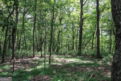 Lake Lot For Sale in Big Canoe, Georgia