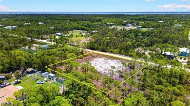 Rare Double-Lot Oasis! Cleared 1-Acre Parcel in Desirable - photo 11