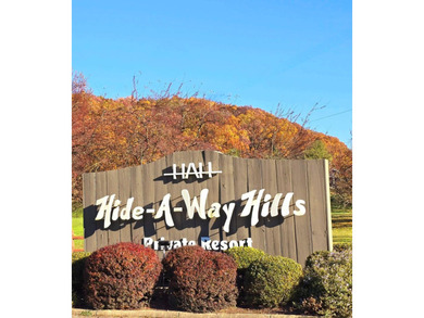 Escape to the hills in this adorable 2 bedroom/1 bath cabin in - photo 27