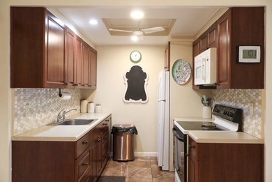 Investor Opportunity Tenant occupied Throuh February 2027 - photo 6
