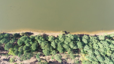 Prime Waterfront Lot Located on Toledo Bend Lake! SOLD - Lake Acreage SOLD! in Milam, Texas