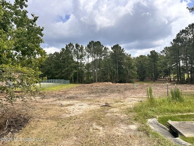 4.6 Acres with frontage on Diamondhead's two main arteries - photo 6