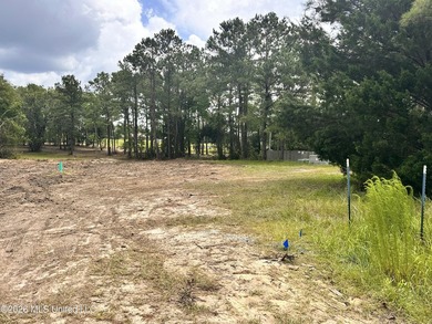 4.6 Acres with frontage on Diamondhead's two main arteries - photo 8