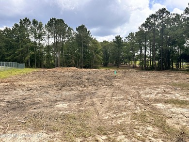 4.6 Acres with frontage on Diamondhead's two main arteries - photo 9