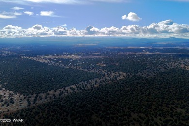 Lake Lot For Sale in Show Low, Arizona