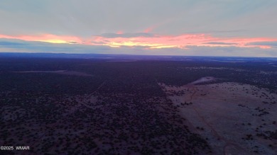 Lake Lot For Sale in Show Low, Arizona