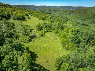 32.22 acres in the heart of Ponca, just minutes from Steel Creek - photo 11