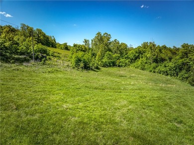 32.22 acres in the heart of Ponca, just minutes from Steel Creek - photo 12