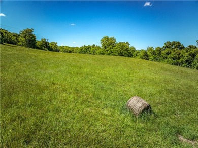 32.22 acres in the heart of Ponca, just minutes from Steel Creek - photo 14