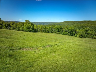 32.22 acres in the heart of Ponca, just minutes from Steel Creek - photo 16