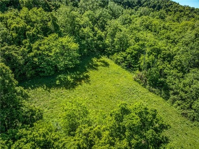 32.22 acres in the heart of Ponca, just minutes from Steel Creek - photo 18