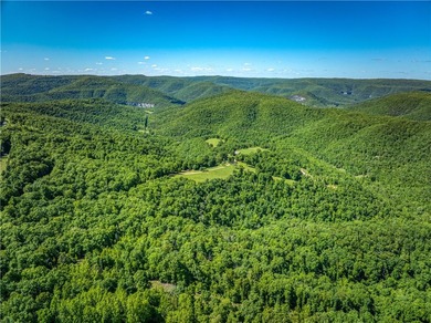 32.22 acres in the heart of Ponca, just minutes from Steel Creek - photo 19