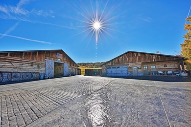 (private lake, pond, creek) Home For Sale in Molina Colorado