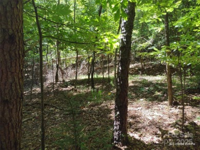 Lake Lure Lot For Sale in Lake Lure North Carolina