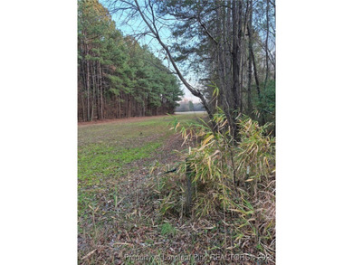 Cape Fear River Acreage Sale Pending in Fayetteville North Carolina
