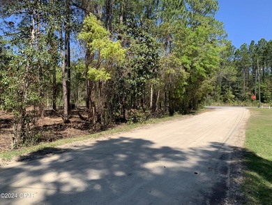 Prime 4.22+/- acre commercial development site on W. Highway 388 - photo 6