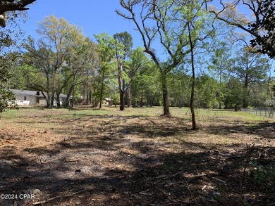 Prime 4.22+/- acre commercial development site on W. Highway 388 - photo 10