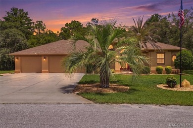 Welcome to this beautifully maintained 3-bedroom, 2-bath home - photo 1