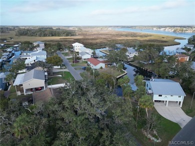 Vacant Land, with a new dock installed in 2025! .16 of an acre - photo 8