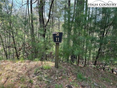 (private lake, pond, coastal) Lot For Sale in West Jefferson North Carolina